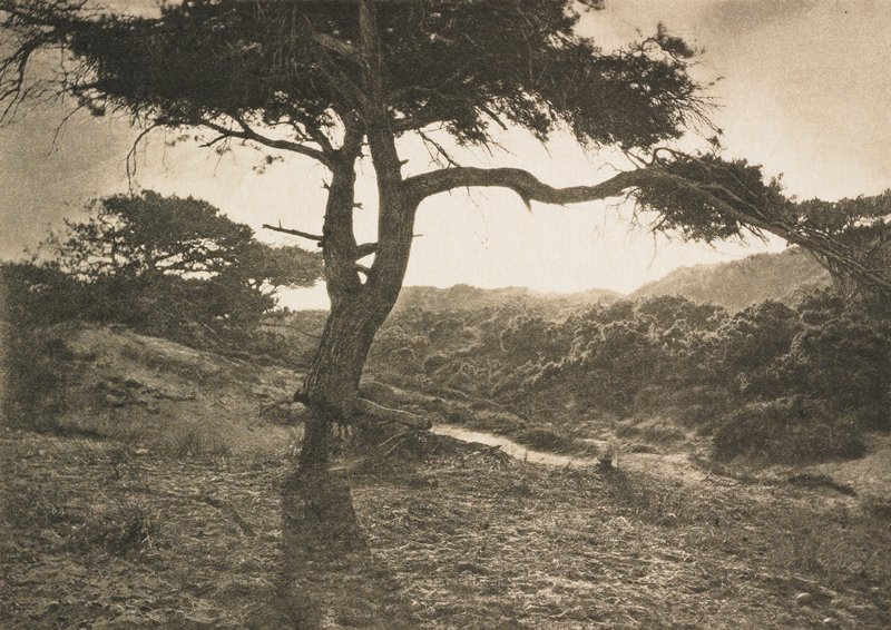 The Long Arm, George Davison, апрель 1907