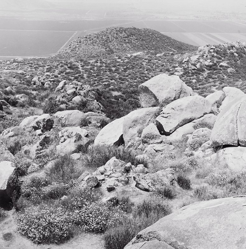 Hemet, California, Joe Deal, 1979