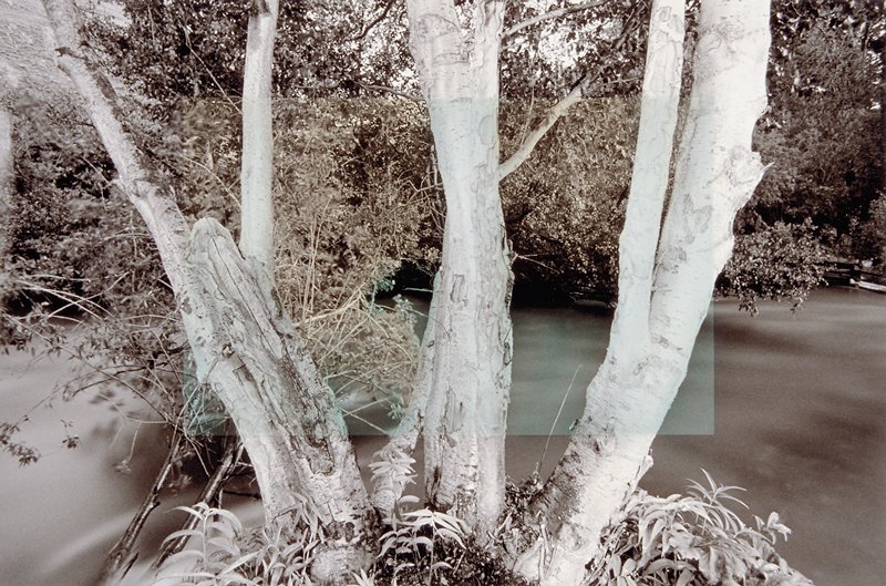 Night Trees, Sun Valley, Idaho, Peter de Lory, 1975