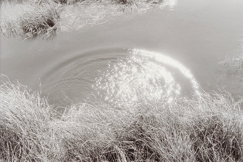 Bog Light, Peter de Lory, 1976