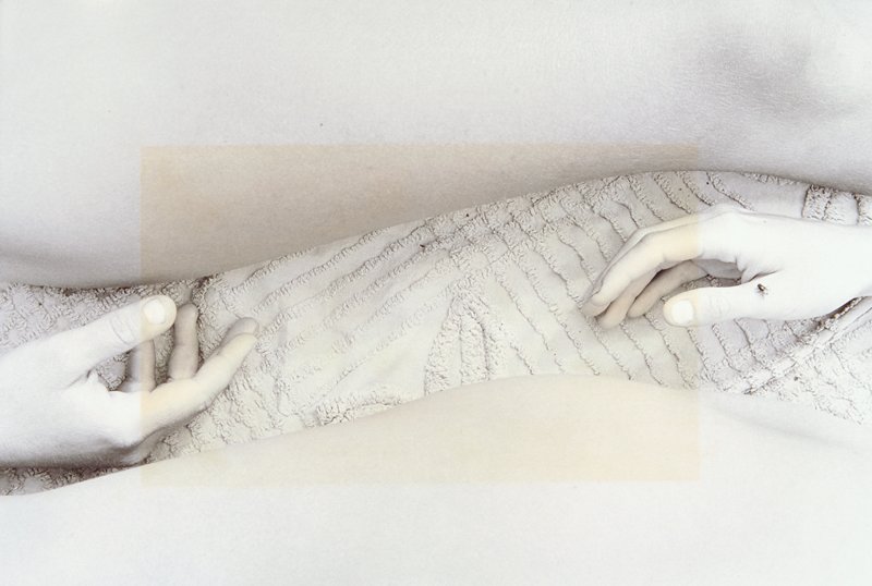 Hands and Legs with Fly, Peter de Lory, 1977
