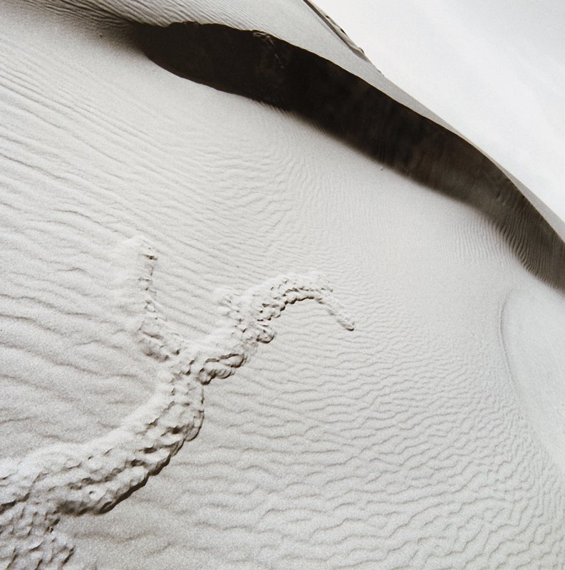 Burrow in the Dunes, Fort Bragg, California, Peter de Lory, 1972