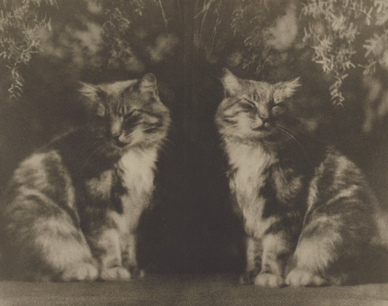 Lazybones, Christine B. Fletcher, 20th century