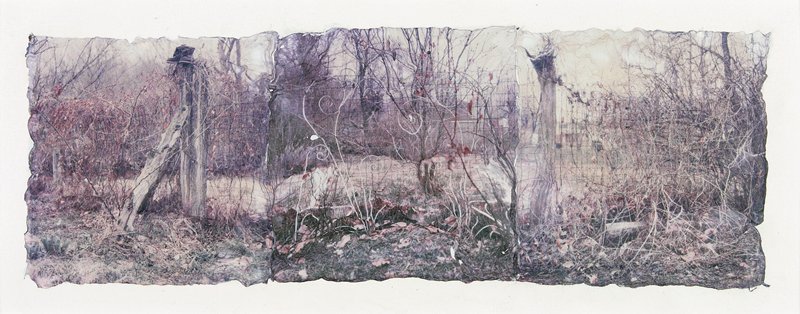 Untitled, Nancy Rexroth, 1979