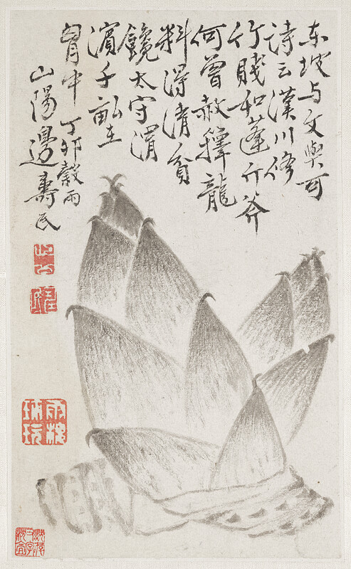 Bamboo Shoots, from an album of vegetables, Bian Shoumin