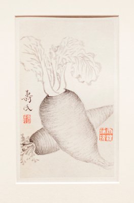 Daikon Radish, from an album of vegetables, Bian Shoumin