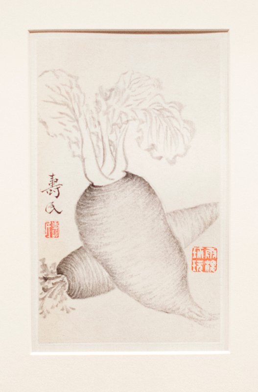 Daikon Radish, from an album of vegetables, Bian Shoumin