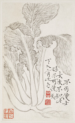 Bok Choy(?), from an album of vegetables, Bian Shoumin