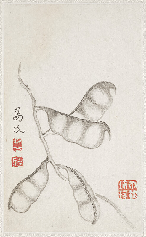 Pea Pods, from an album of vegetables, Bian Shoumin