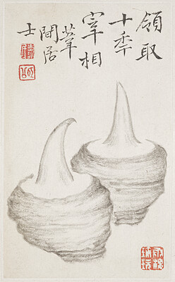 Taro Root, from an album of vegetables, Bian Shoumin