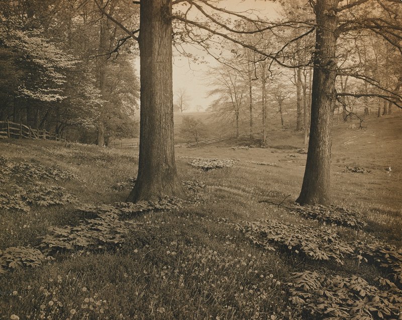 In Springtime, Pennsylvania, Henry Troth, c. 1900