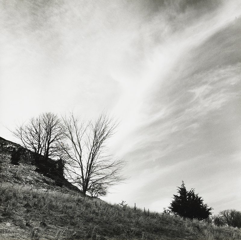Trees and Sky, Robert Gene Wilcox, c. 1960