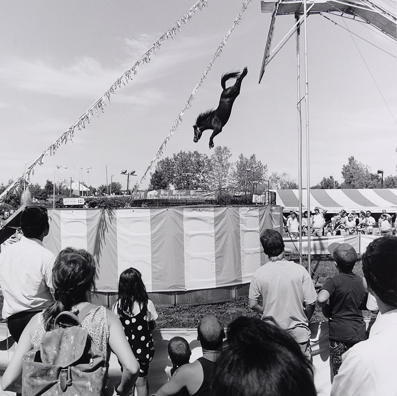Orange County Fair, Middletown, NY, Toby Old, 1990