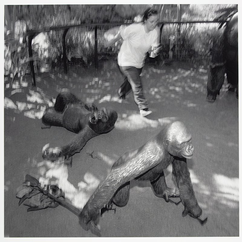 San Diego Zoo, California, Toby Old, 1997