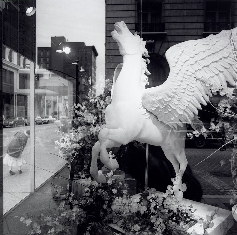 Kentucky Derby, Louisville, KY, Toby Old, 1989