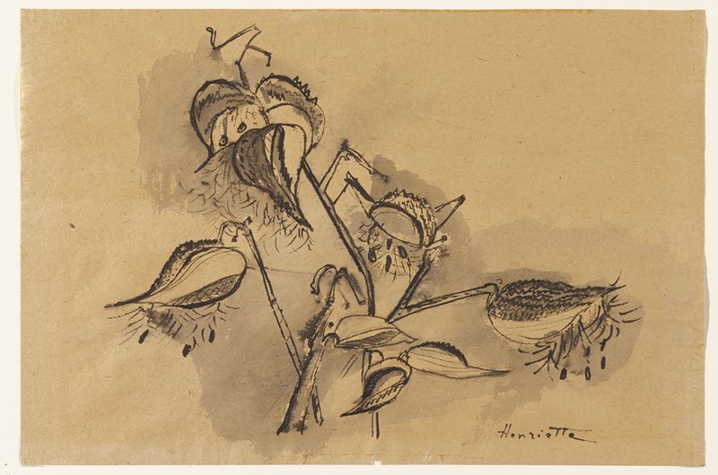 Milkweed, Henriette Diebold, c. 1948