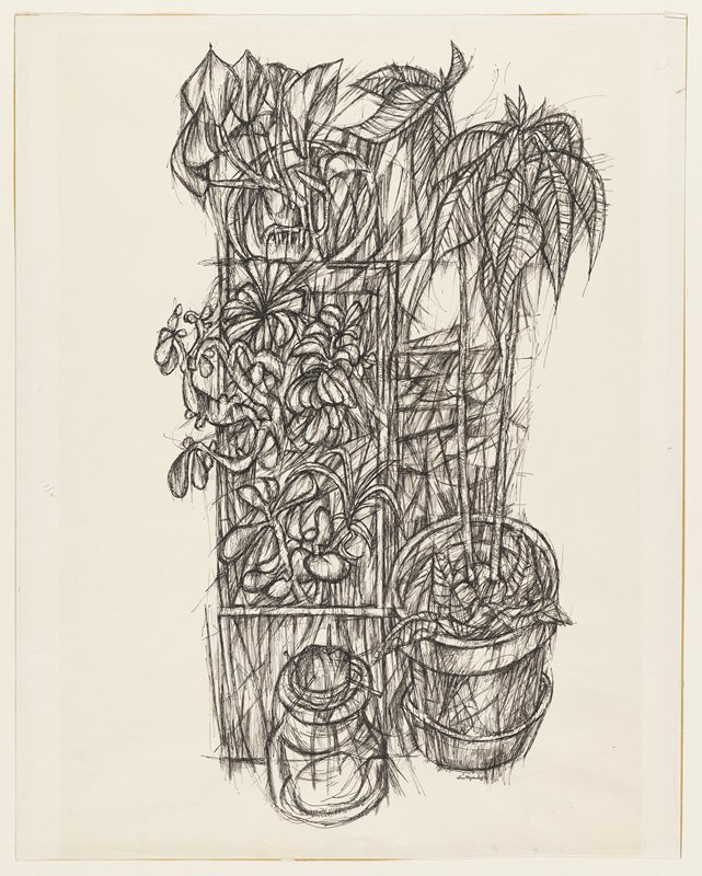 Studio Plants, Ivan Majdrakoff, 1953
