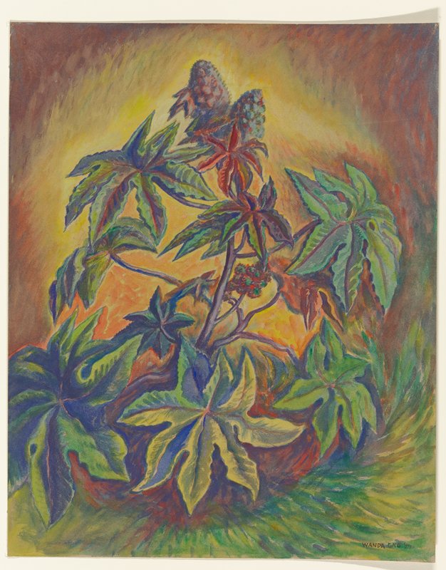 Castor Oil Plant, Wanda Gág, 1927