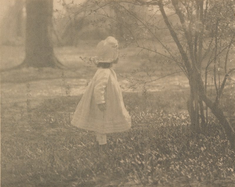 Spring, Alfred Stieglitz, October 1905