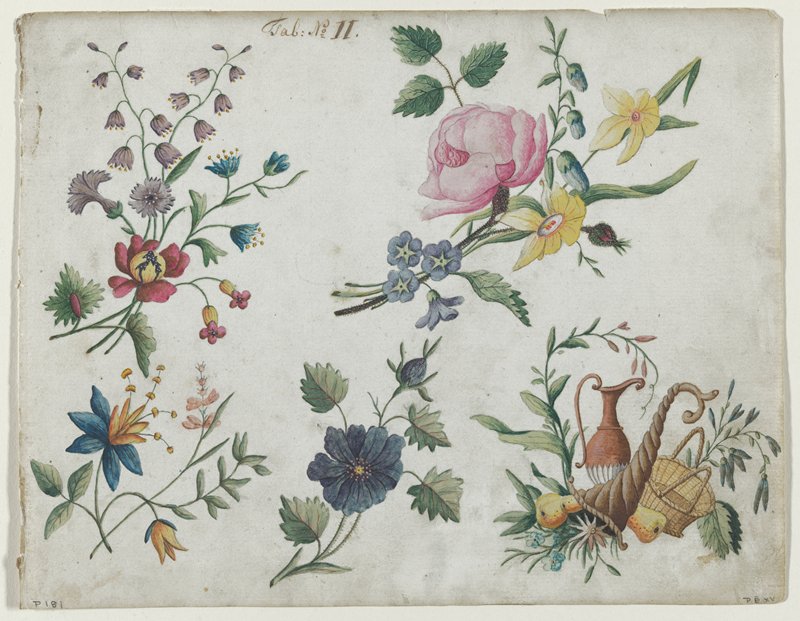 Flower Studies with Cornucopia Still Life  (Tab: No. 11), 18th century