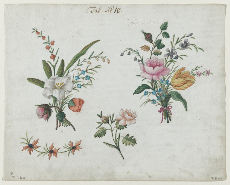 Flower Studies  (Tab: No. 10), 17th or 18th century