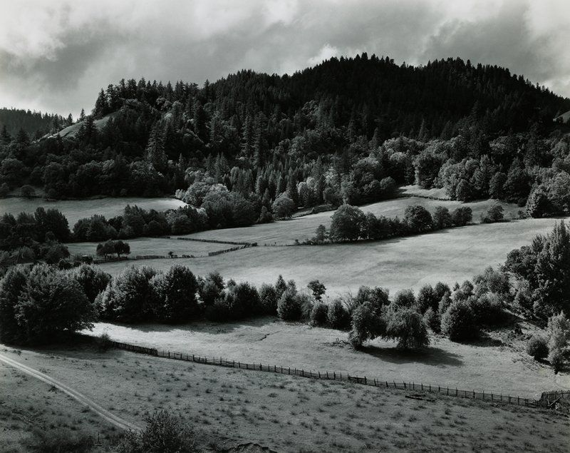 Eel River, Edward Weston, 1937