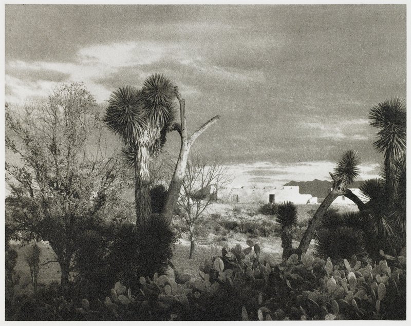 Near Saltillo, Paul Strand, 1932