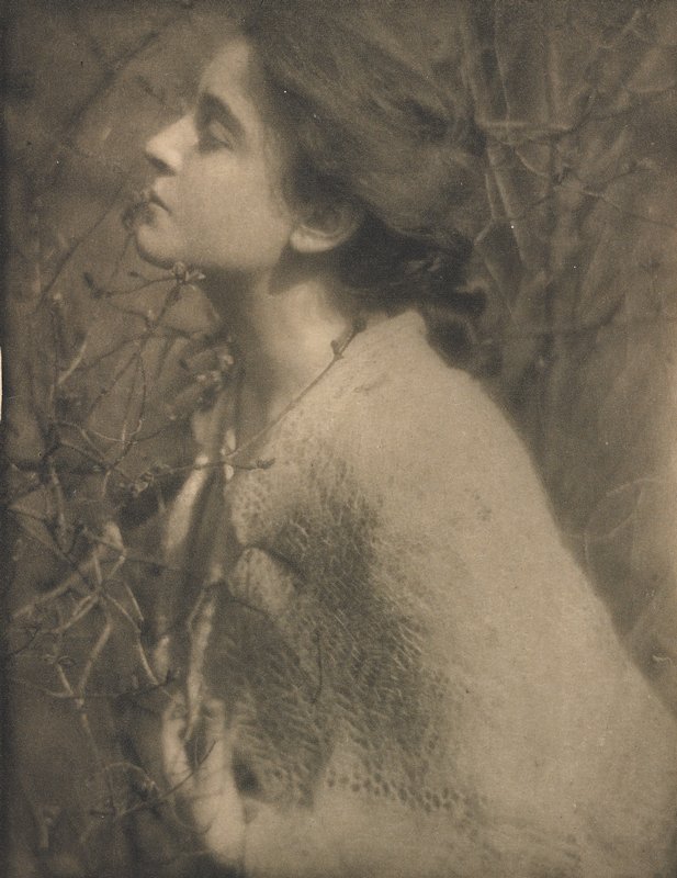 Lilac Buds: Mrs. S., Edward Steichen, April 1906