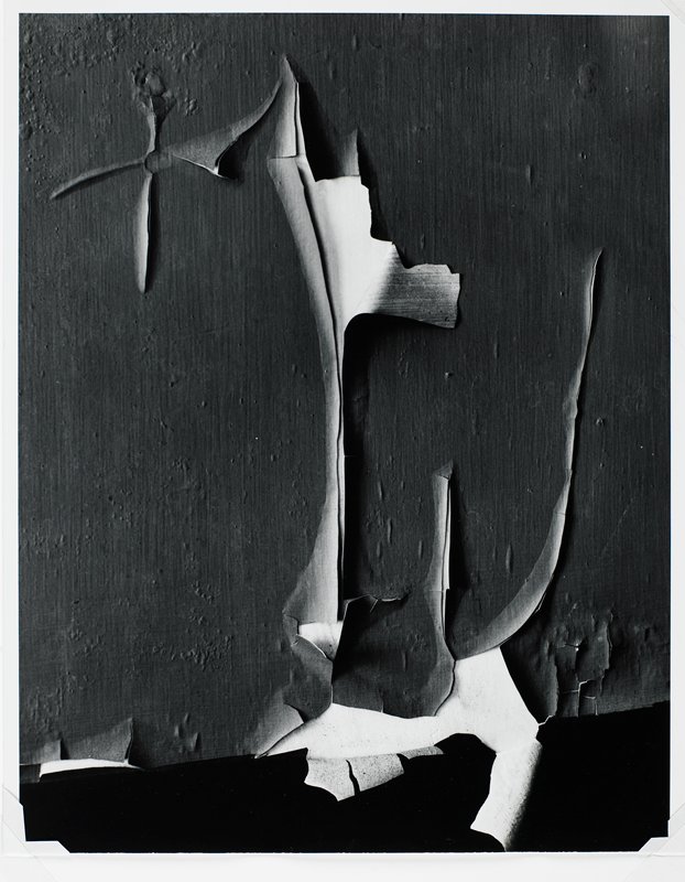 Peeled Paint, Minor White, 1959
