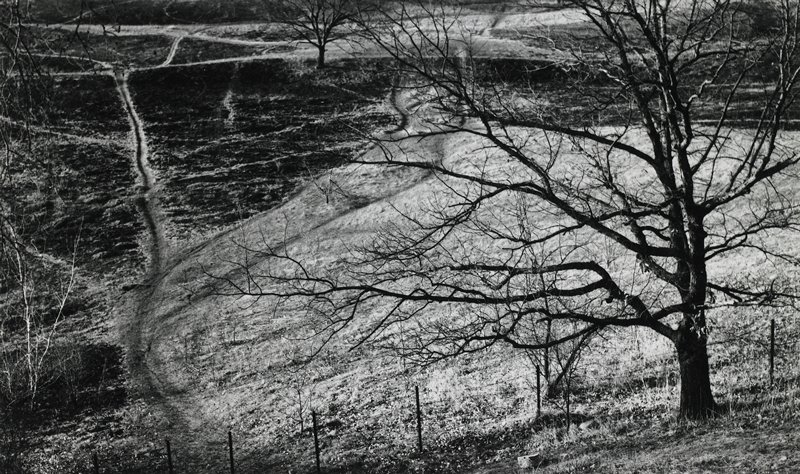 Untitled, Tore Thorsen, 1960–70