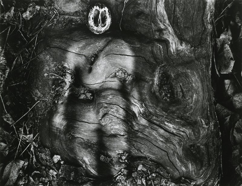 Enigmatic Figure, Jerry N. Uelsmann, 1959 (printed 1972)
