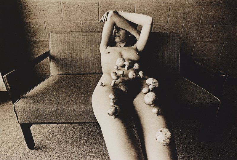 The Result of Living in a Dark Room for Three Years and Not Looking for Work, Leslie Krims, 1970