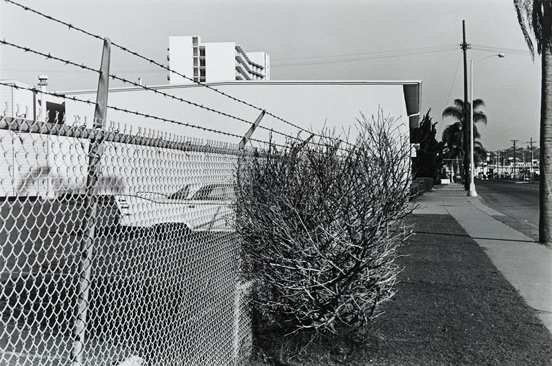 Car and Fence and Bush, San Diego, California, Lee Friedlander, 1970 (повторный отпечаток 1973)