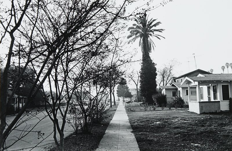 Street Scene, Trees and Houses, Hollywood, California, Lee Friedlander, 1970 (повторный отпечаток 1973)