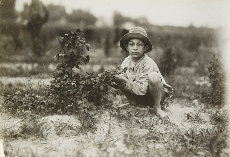 Untitled, Lewis W. Hine, 1909