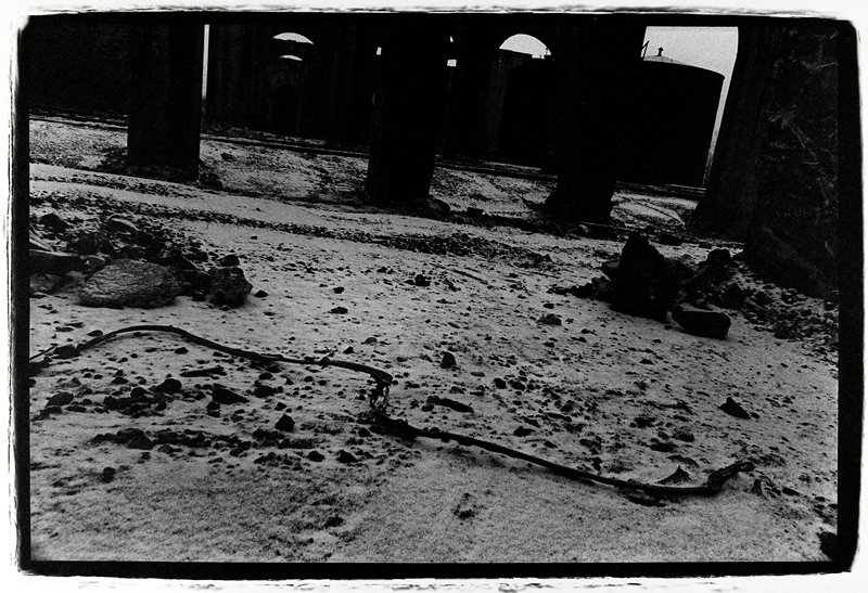 Untitled, John Marshall, 1973