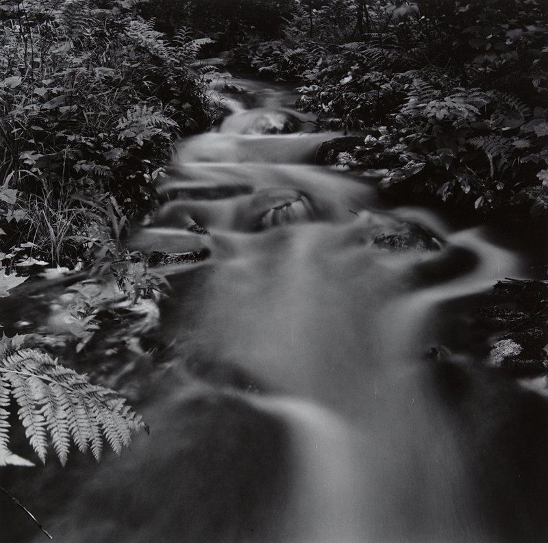 Under the Influence of Wynn Bullock, Joseph Jachna, 1967