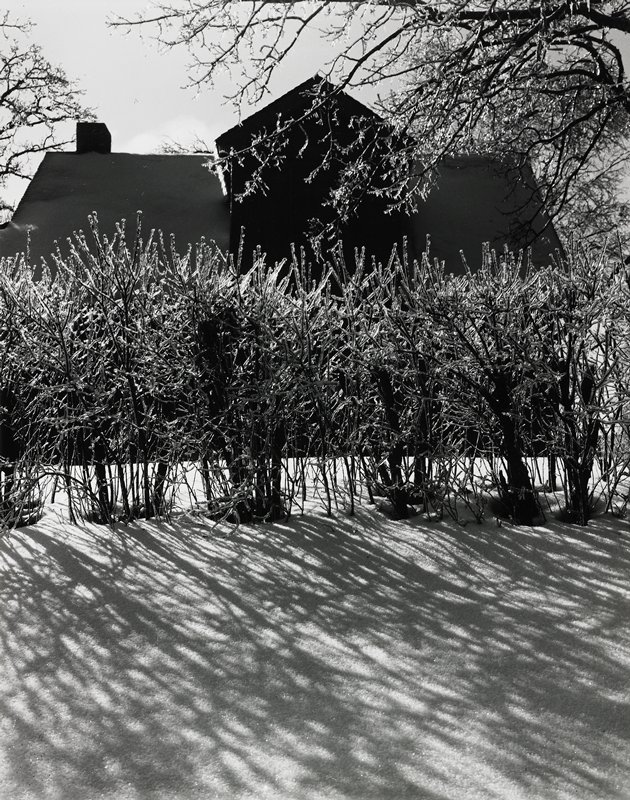 White Bear Lake, Minnesota, Robert Gene Wilcox, 1966