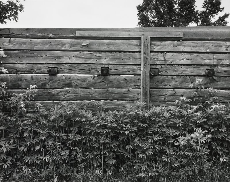 Canada, Robert Gene Wilcox, 1963