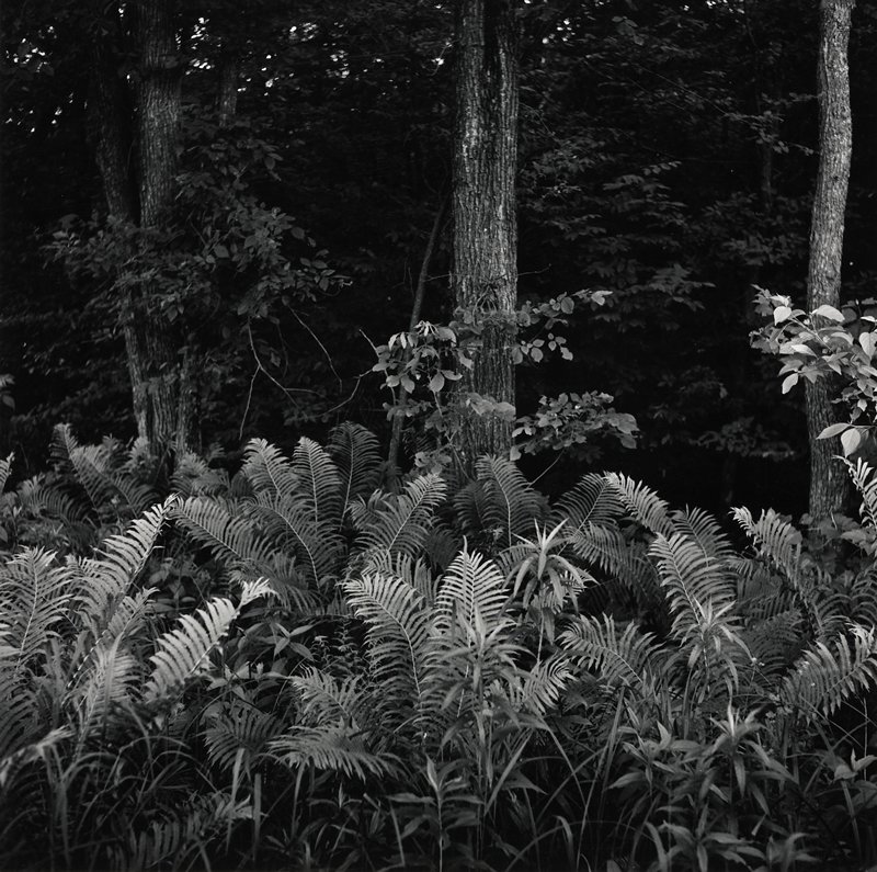 St. Croix Falls, Wisconsin, Robert Gene Wilcox, 1961