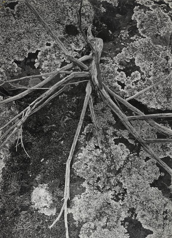 Untitled, Robert Gene Wilcox, c. 1958 (?)