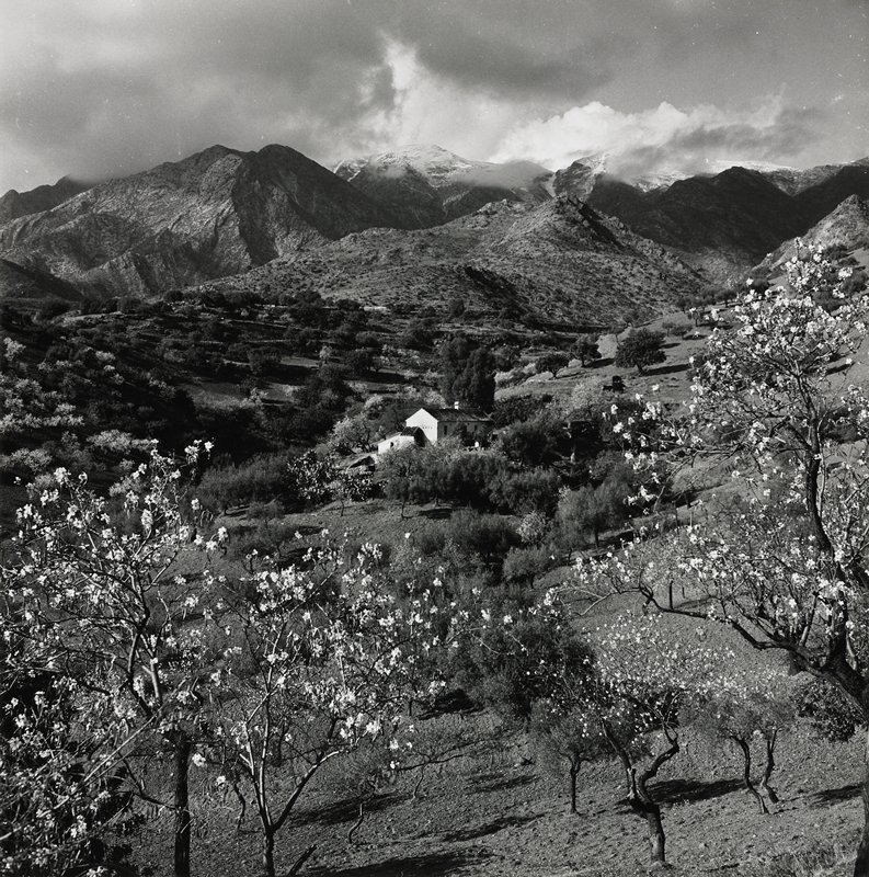 Spain, Robert Gene Wilcox, 1956