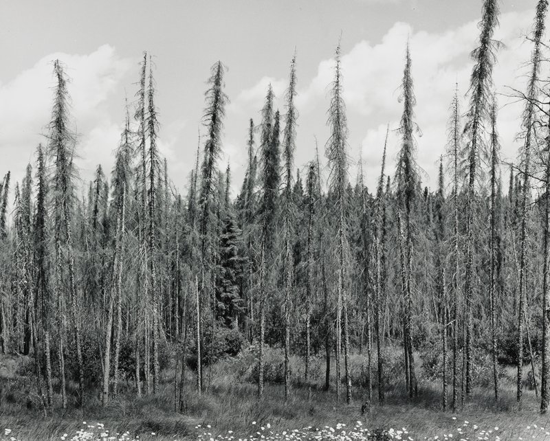 Untitled, Robert Gene Wilcox, 20th century