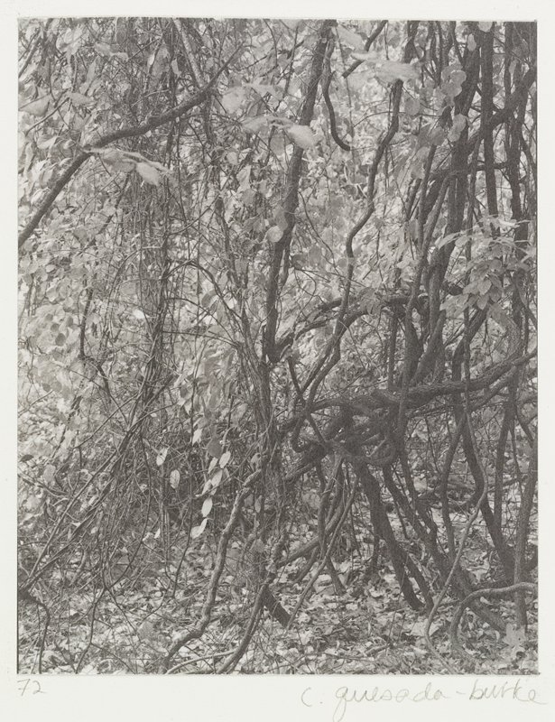 Untitled, Carmen Quesada-Burke, 1972