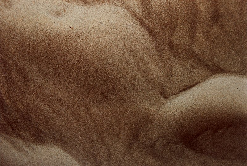 Sand Dune No.4, Robert Moses State Park, New York, Fred Pleasure, 1972