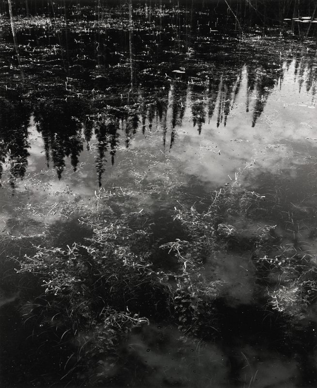 Backwater, Central Ontario, Robert Gene Wilcox, 1963