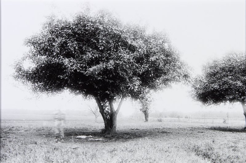 By the Apple Tree, Michael Simon, 1971