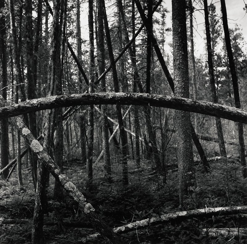 Brule River Wisconsin, Robert Gene Wilcox, 1965