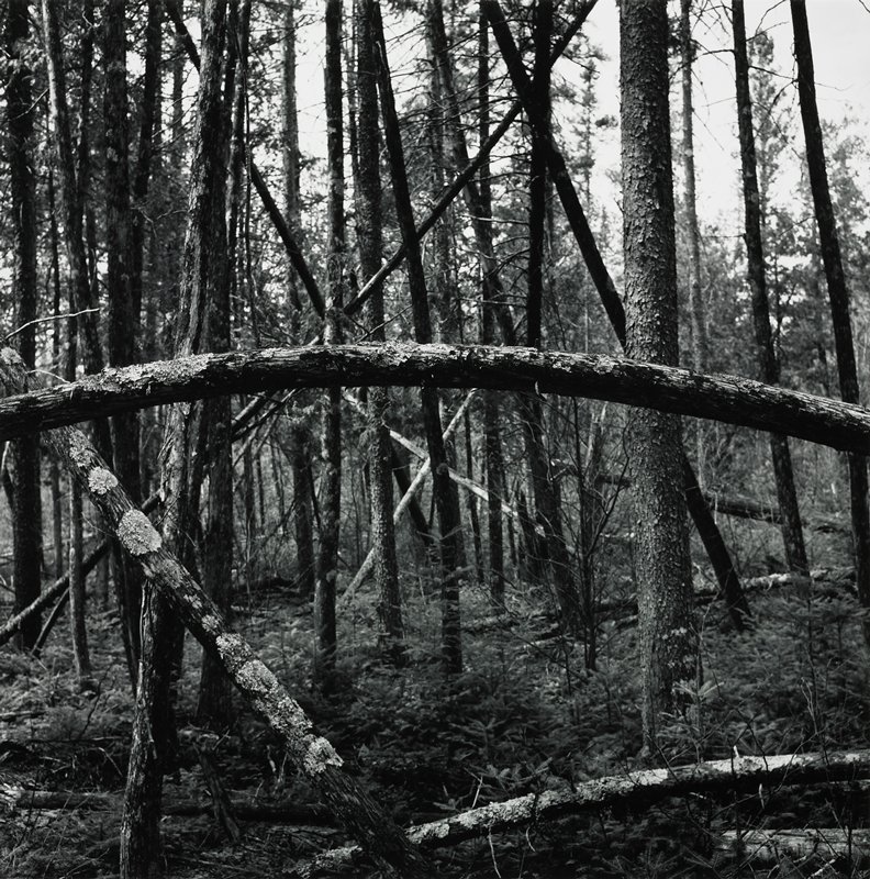Brule River, Wisconsin, Robert Gene Wilcox, 1963