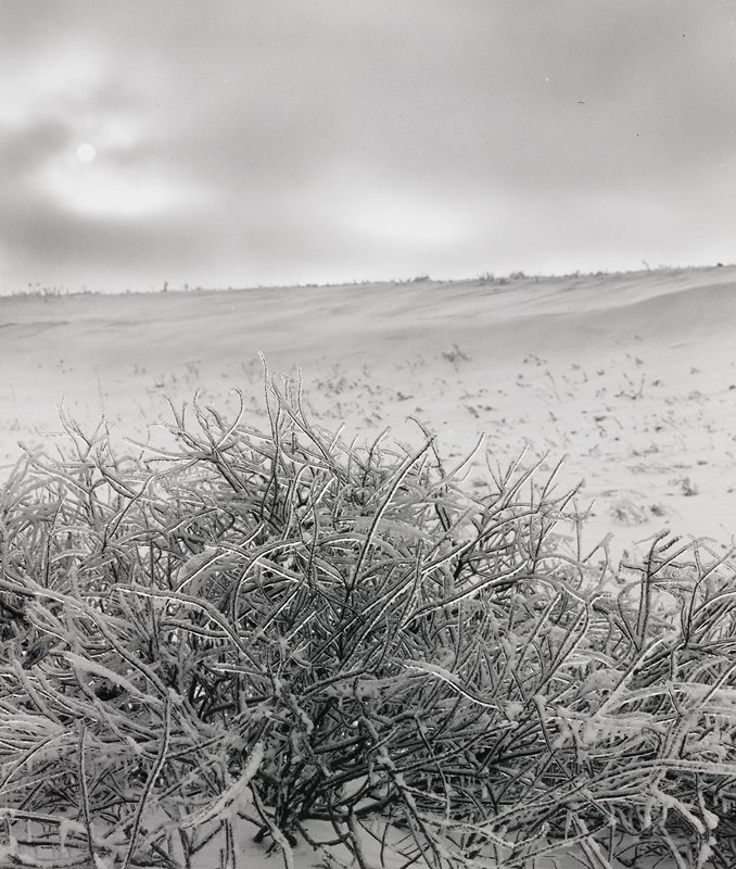 Untitled, Robert Gene Wilcox, 1963 (?)
